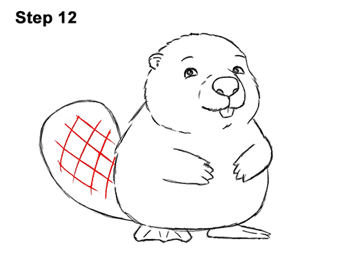 Beaver Drawing Modern Sketch