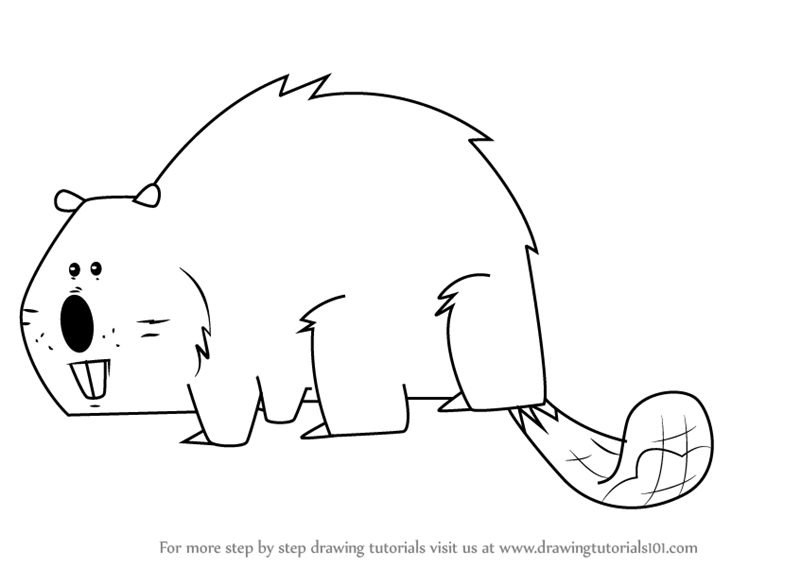 Beaver Drawing Sketch