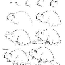 Beaver Drawing Stunning Sketch