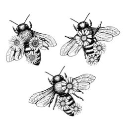 Bee Drawing Hand drawn