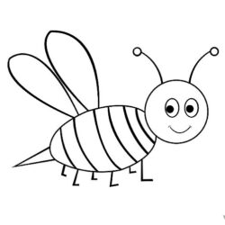 Bee Drawing Picture