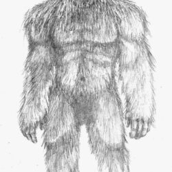 Bigfoot Drawing