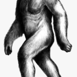 Bigfoot Drawing Art