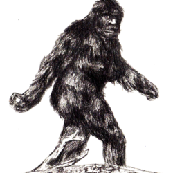 Bigfoot Drawing Artistic Sketching