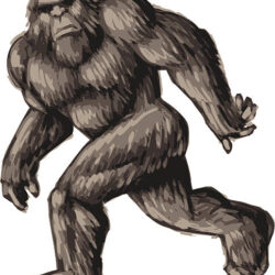 Bigfoot Drawing Modern Sketch