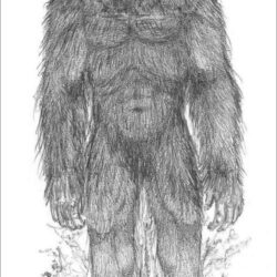 Bigfoot Drawing Realistic Sketch