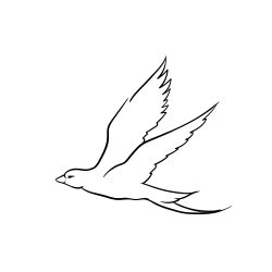 Bird Flying Drawing