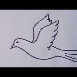 Bird Flying Drawing Modern Sketch