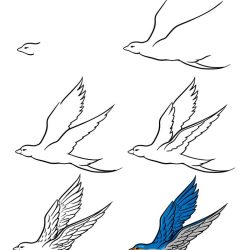 Bird Flying Drawing Sketch