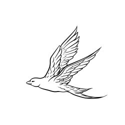 Bird Flying Drawing Stunning Sketch