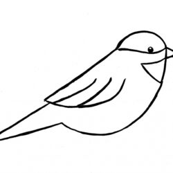 Bird Line Drawing Creative Style