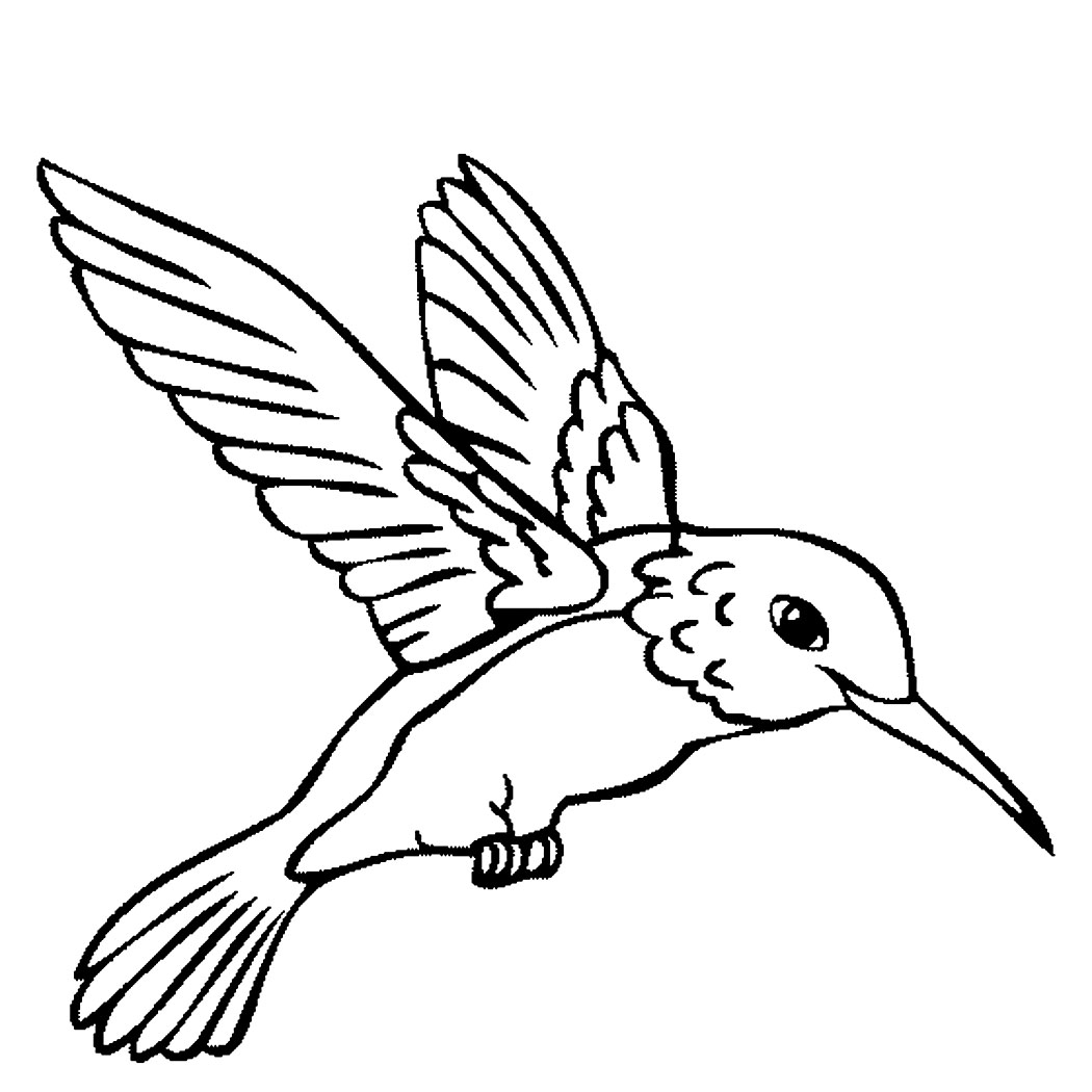 Bird Line Drawing Photo