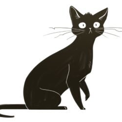 Black Cat Drawing Photo