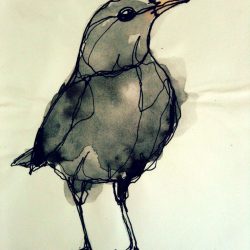 Blackbird Drawing Creative Style