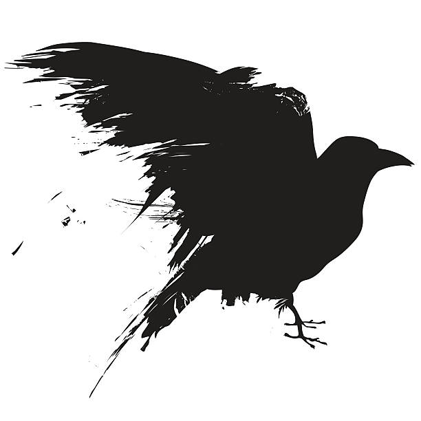 Blackbird Drawing Intricate Artwork