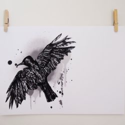 Blackbird Drawing Realistic Sketch