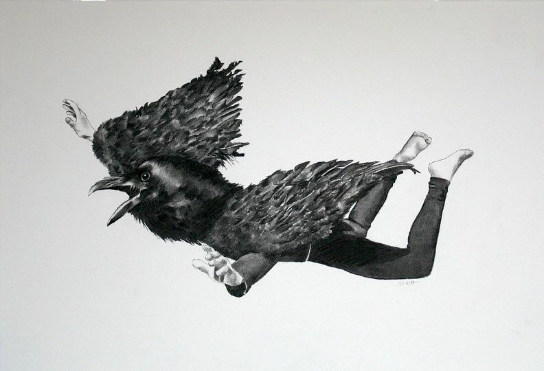 Blackbird Drawing