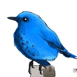 Blue Bird Drawing Intricate Artwork