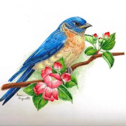 Blue Bird Drawing Modern Sketch