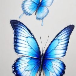 Blue Butterfly Drawing Sketch Picture