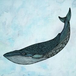 Blue Whale Drawing Intricate Artwork