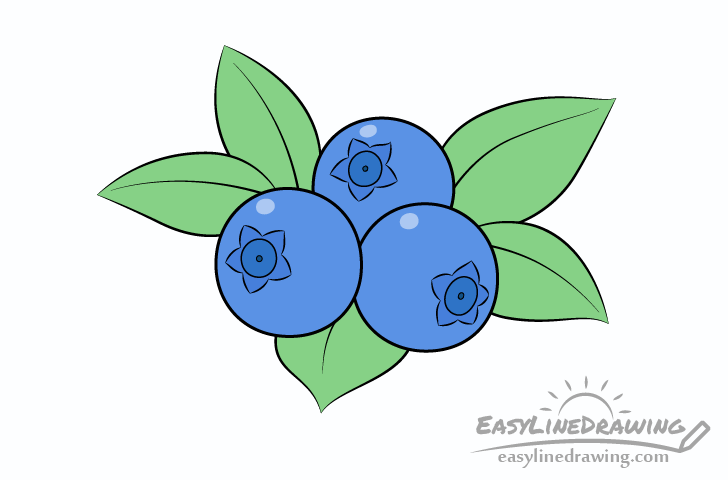 Blueberries Drawing Intricate Artwork