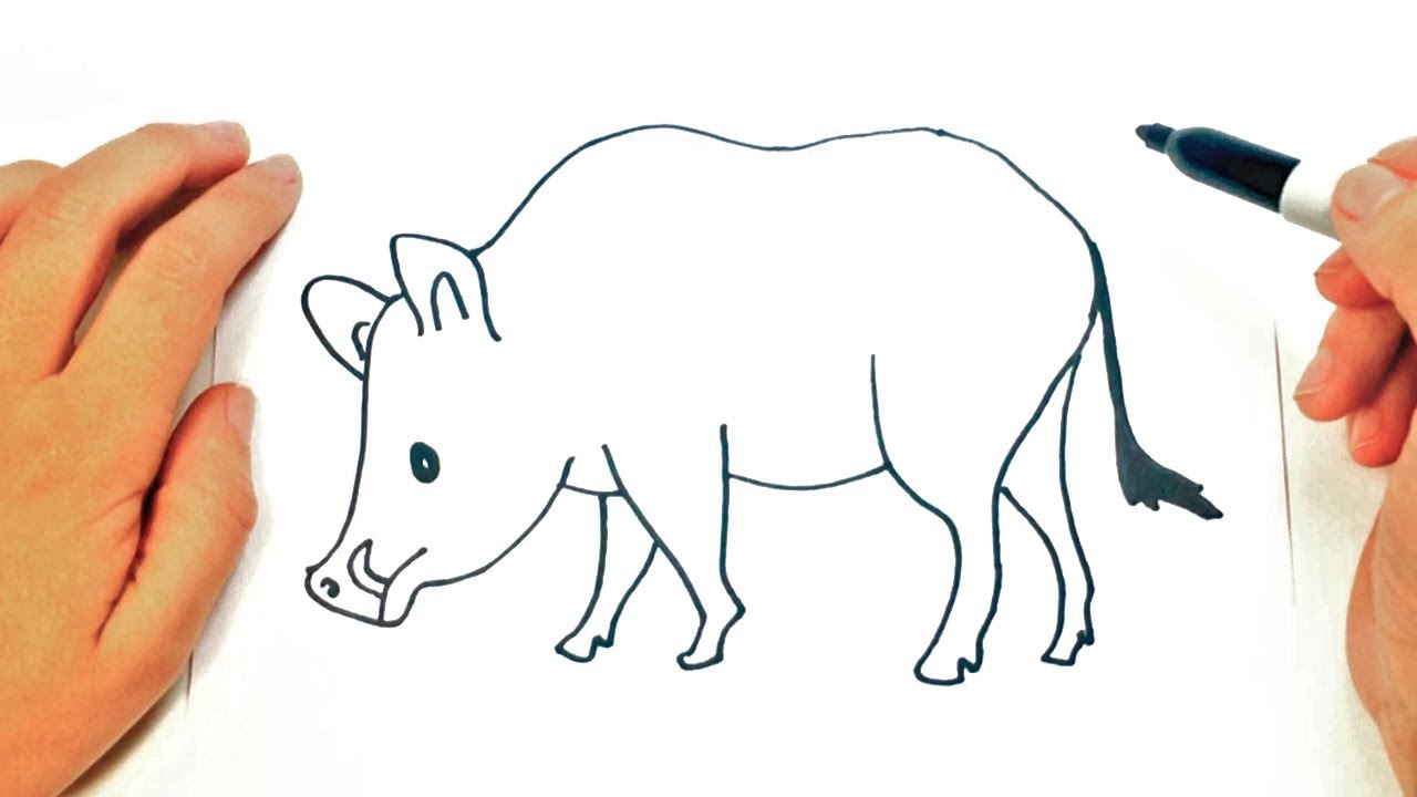 Boar Drawing Modern Sketch