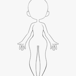 Body Outline Drawing