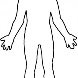 Body Outline Drawing Detailed Sketch