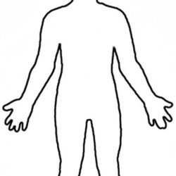 Body Outline Drawing Hand Drawn Sketch