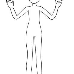 Body Outline Drawing Image