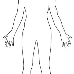 Body Outline Drawing Photo