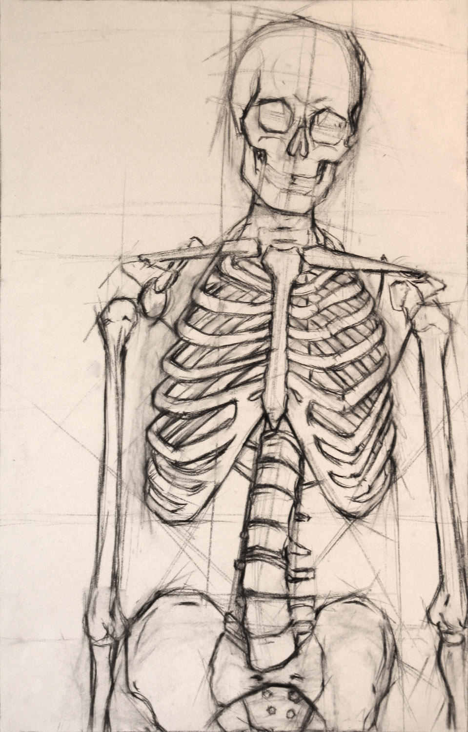 Bone Drawing Detailed Sketch