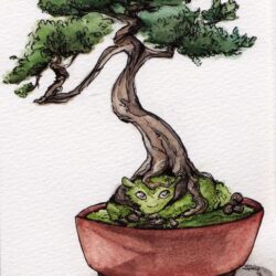 Bonsai Tree Drawing Amazing Sketch