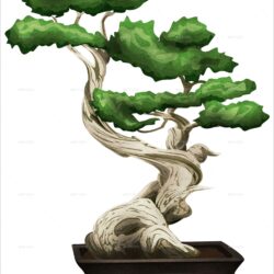 Bonsai Tree Drawing Art