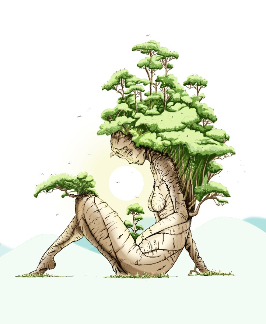 Bonsai Tree Drawing Creative Style