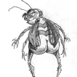 Bug Drawing Hand drawn