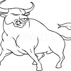 Bull Drawing