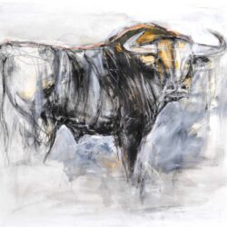 Bull Drawing Art