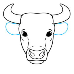 Bull Drawing Picture