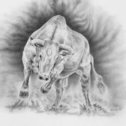 Bull Drawing Professional Artwork