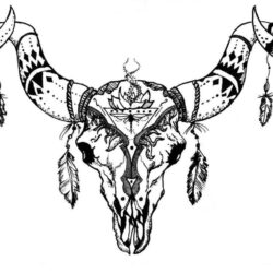 Bull Skull Drawing Hand Drawn Sketch