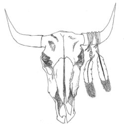 Bull Skull Drawing Intricate Artwork