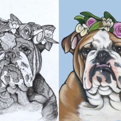 Bulldog Drawing