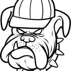 Bulldog Drawing Sketch