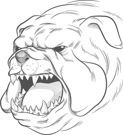 Bulldog, Tenacious, Affectionate, Strong, Loyal Drawing