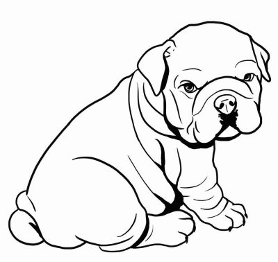 Bulldog, Loyal, Friendly, Playful, Tenacious Drawing