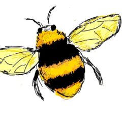 Bumblebee Drawing Fine Art