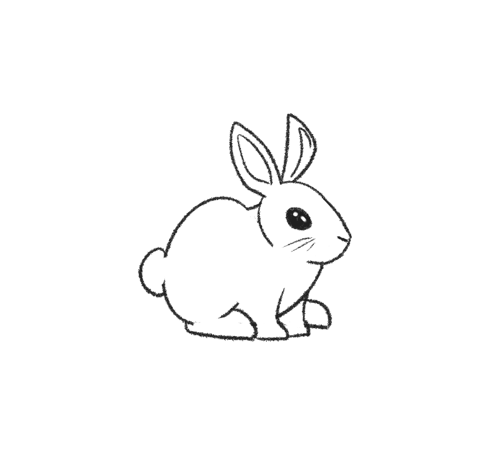Bunnies Drawing Artistic Sketching