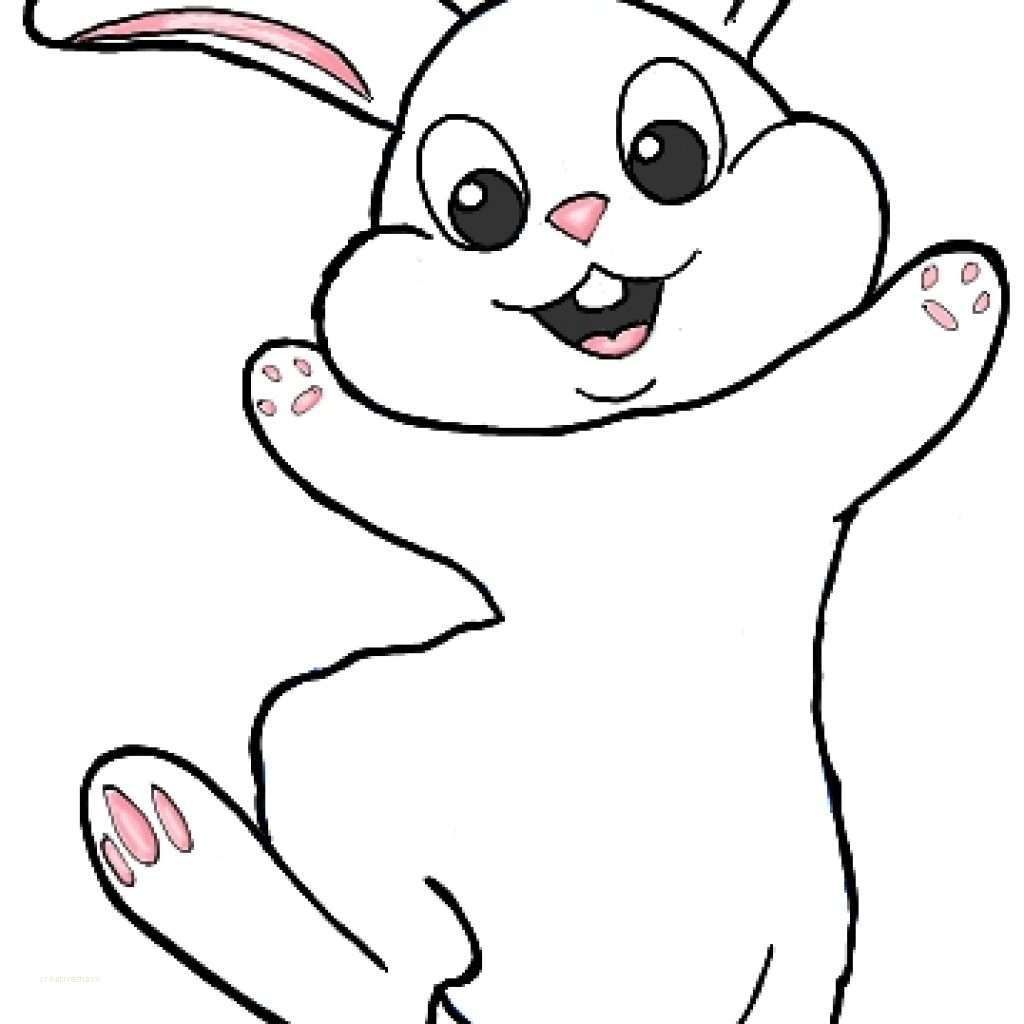Bunnies Drawing Image